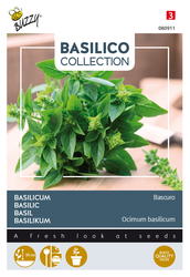 Buzzy® Basilicum Bascuro - afbeelding 2