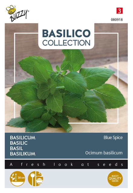 Buzzy® Basilicum Blue Spice - afbeelding 1