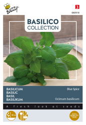 Buzzy® Basilicum Blue Spice - afbeelding 2