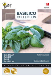 Buzzy® Basilicum Italiano Classico - afbeelding 1