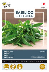 Buzzy® Basilicum Lemon - afbeelding 2