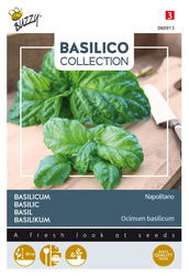 Buzzy® Basilicum Napolitano - afbeelding 1