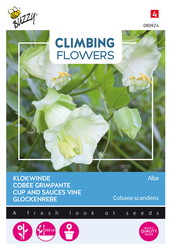 Buzzy® Climbing Flowers, Cobaea Alba Wit - afbeelding 1