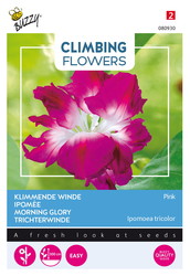 Buzzy® Climbing Flowers, Ipomoea Dubbel Rose - afbeelding 1