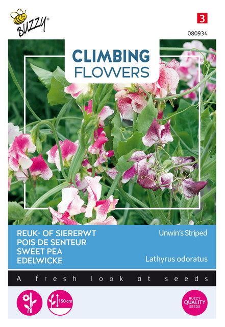 Buzzy® Climbing Flowers, Lathyrus Unwin's Striped - afbeelding 1