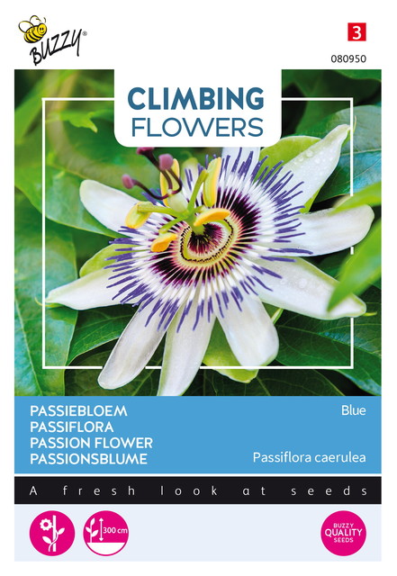 Buzzy® Climbing Flowers, Passiebloem Blauw - afbeelding 1