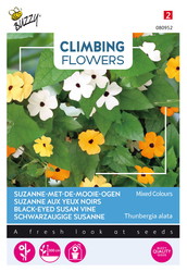 Buzzy® Climbing Flowers Thunbergia, Suzanne-met-mooie-ogen - afbeelding 1