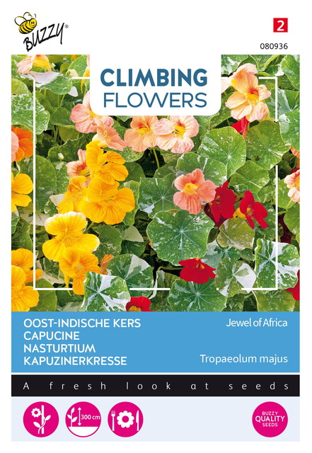 Buzzy® Climbing Flowers, Tropaeolum Jewel of Africa - afbeelding 1