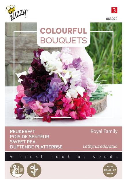 Buzzy® Colourful Bouquets, Royal Family (lathyrus) - afbeelding 1
