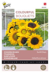 Buzzy® Colourful Bouquets, Sunlit Days (zonnebloem - afbeelding 1