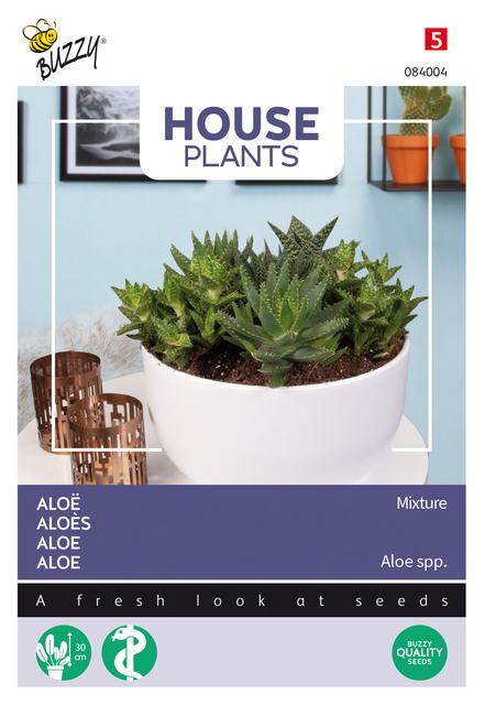 Buzzy® House Plants Aloë gemengde soorten - afbeelding 1