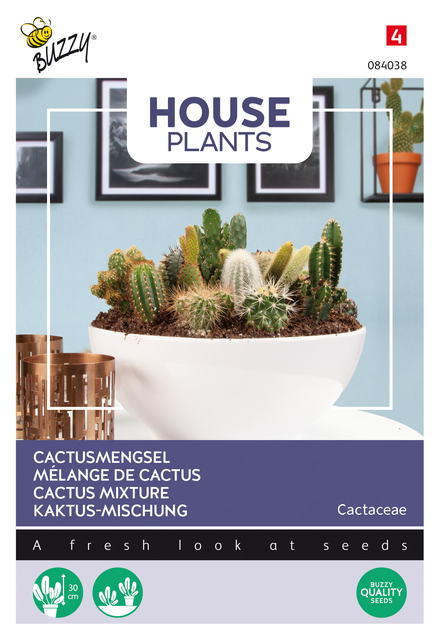 Buzzy® House Plants Cactus mengsel - afbeelding 1
