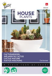 Buzzy® House Plants Cactus mengsel - afbeelding 2