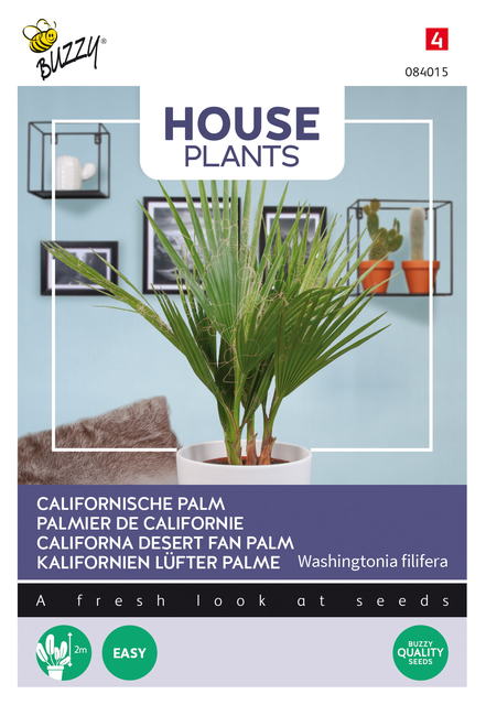 Buzzy® House Plants Californische palm - afbeelding 1