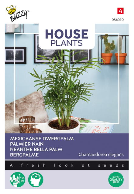 Buzzy® House Plants Chamaedorea, Dwergpalm - afbeelding 1