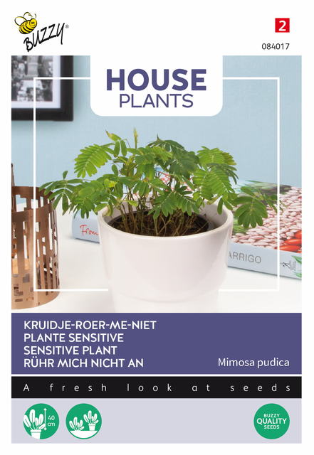 Buzzy® House Plants Mimosa pudica, Kruidje roer me niet - afbeelding 1