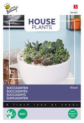 Buzzy® House Plants Mixed Succulents, vetplanten - afbeelding 1