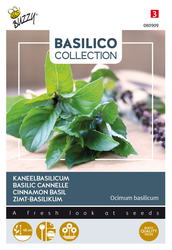 Buzzy® Kaneelbasilicum - afbeelding 1