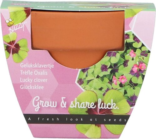 Buzzy Kweekset groeicadeau klavertje 4