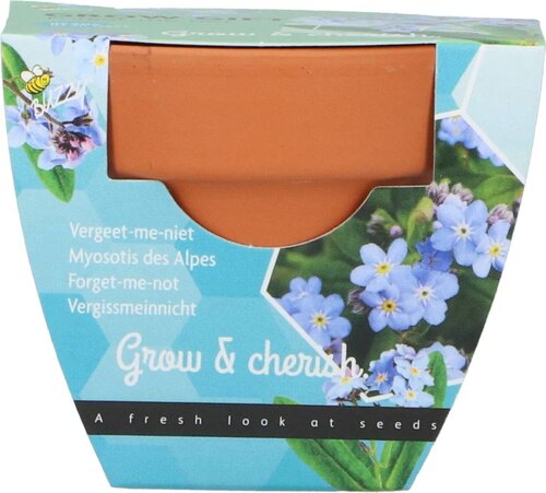 Buzzy Kweekset groeicadeau myosotis