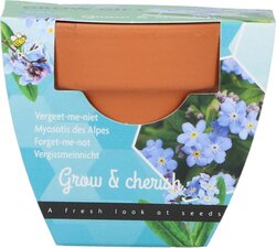 Buzzy Kweekset groeicadeau myosotis