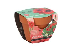 Buzzy Kweekset groeicadeau papaver