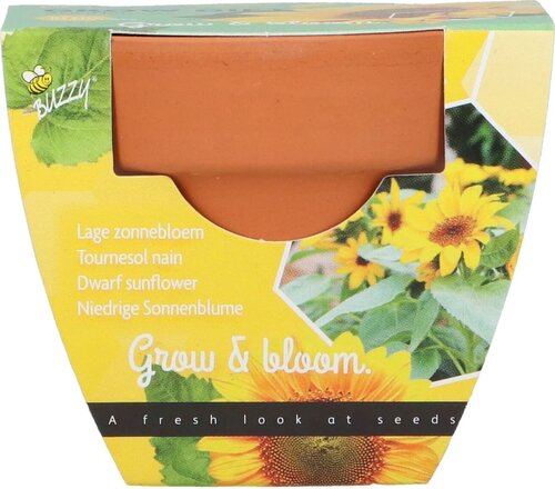 Buzzy Kweekset groeicadeau zonnebloem