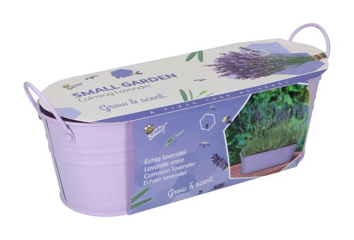 Buzzy Kweekset teil calming lavender