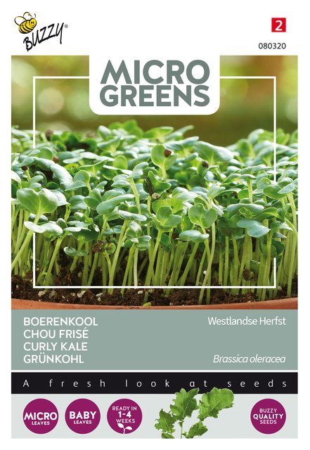 Buzzy® Microgreens, Boerenkool Westlandse Herfst - afbeelding 1