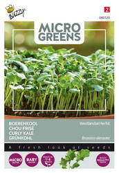 Buzzy® Microgreens, Boerenkool Westlandse Herfst - afbeelding 1