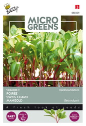 Buzzy® Microgreens, Snijbiet Regenboogmengsel - afbeelding 1