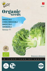 Buzzy® Organic Broccoli Belstar F1 (BIO) - afbeelding 1