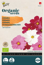 Buzzy® Organic Cosmos Sensation (BIO) - afbeelding 1