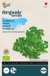 Buzzy® Organic Peterselie Gekrulde Donkergroene  (BIO) - afbeelding 1