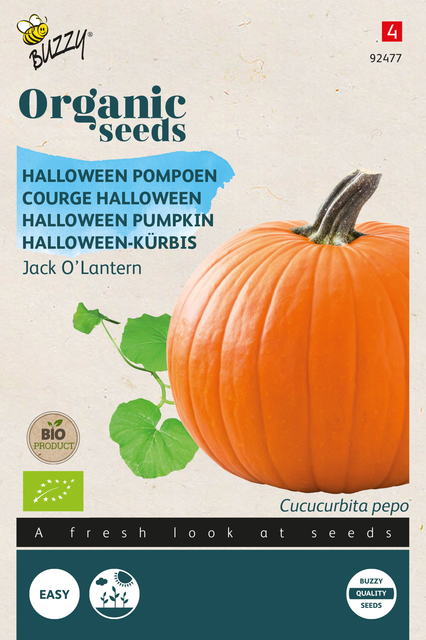 Buzzy® Organic Pompoen Jack O'Lantern (BIO) - afbeelding 1