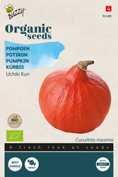 Buzzy® Organic Pompoen Uchiki Kuri (BIO) - afbeelding 2