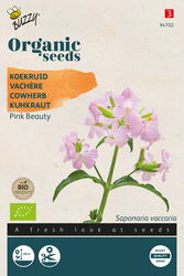 Buzzy® Organic Saponaria, Koekruid Pink Beauty (BIO) - afbeelding 1