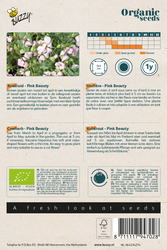 Buzzy® Organic Saponaria, Koekruid Pink Beauty (BIO) - afbeelding 2