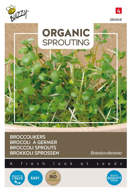 Buzzy® Organic Sprouting Broccolikers (BIO) - afbeelding 1