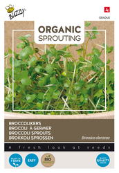 Buzzy® Organic Sprouting Broccolikers (BIO) - afbeelding 1