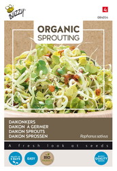 Buzzy® Organic Sprouting Daikonkers  (BIO) - afbeelding 1