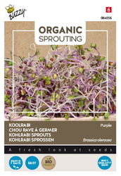 Buzzy® Organic Sprouting Koolrabi blauwpaars (BIO) - afbeelding 1
