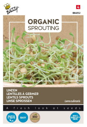 Buzzy® Organic Sprouting Linzen  (BIO) - afbeelding 1