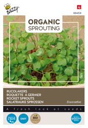 Buzzy® Organic Sprouting Rucolakers  (BIO) - afbeelding 1