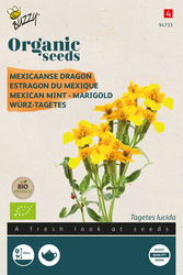 Buzzy® Organic Tagetes Lucida, Mexicaanse dragon (BIO) - afbeelding 1