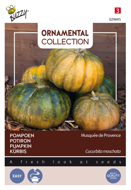 Buzzy® Ornamental Courgette Musque De Provence - afbeelding 1