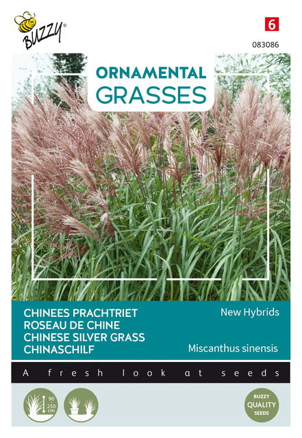 Buzzy® Ornamental Grasses Chinees prachtriet 'New Hybrids' - afbeelding 1