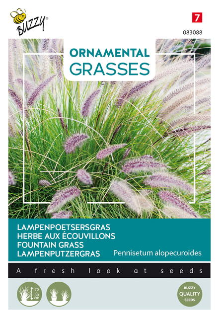 Buzzy® Ornamental Grasses, Lampenpoetsersgras - afbeelding 1