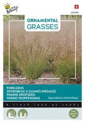 Buzzy® Ornamental Grasses, Parelgras - afbeelding 1