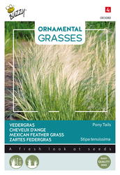 Buzzy® Ornamental Grasses, Vedergras Pony tails - afbeelding 1